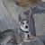 Dean Leeser's profile image