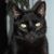 Barbara Findling's profile image