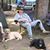 Joe Breed's profile image