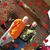 Julie Lininger's profile image