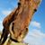 Myka Hirschey's profile image