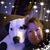 Joan Polan Thompson's profile image