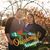 Angela McCrone Foster's profile image
