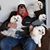 Terrylee Tinnes's profile image