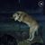 Beth Adkins's profile image