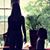Beth Berland's profile image