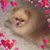 Melody Carrier's profile image