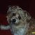 Lynda Allmond Fralish's profile image