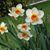Ellen Bentley's profile image