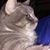 Candice Barlak's profile image