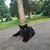 Diana Gallaher's profile image