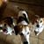 Karen DonDuff's profile image