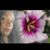 Carzett Glapion's profile image