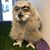 Catherine Darling's profile image