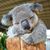 Carolyn Vankrevelen's profile image