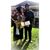 Ubaldo Gonzalez's profile image