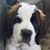 Theresa Begert Applebaum's profile image