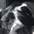 Travis Wyrick's profile image