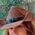 Lori Lines's profile image