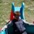 Dorothea Waite's profile image