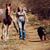 Januaree Ratchford's profile image