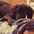 Meghean Kadner's profile image