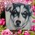 Sara Flynn's profile image
