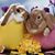 Maryann Standlee's profile image