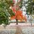 Diane Parker Fadl's profile image