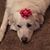 Jennifer Allen's profile image