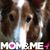 Sally Sourbeer's profile image