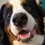 Greg Godby's profile image