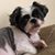 Jessica Rouse Williams's profile image