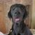 Paul Brunker Milburn's profile image