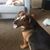 Caitlin Brophy's profile image