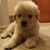 James R. Hagerty's profile image