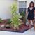 Diane Sturm's profile image