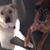 Cynthia Caraffi's profile image
