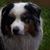 Monica Wierzba's profile image