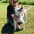Suzanne Stroebel Schumacher's profile image