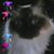 Julie Abe's profile image