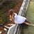 Jami Bing's profile image