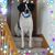 Mary Olsen's profile image