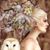 Victoria Green's profile image