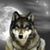 Frieda Shook's profile image