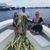Gretchen Hahn Kuehnel's profile image