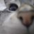 Anita Ríos's profile image