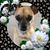 Gail Darrell's profile image