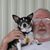 Cecil Landon's profile image