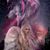 Nikki Steransky-Mingledorff's profile image